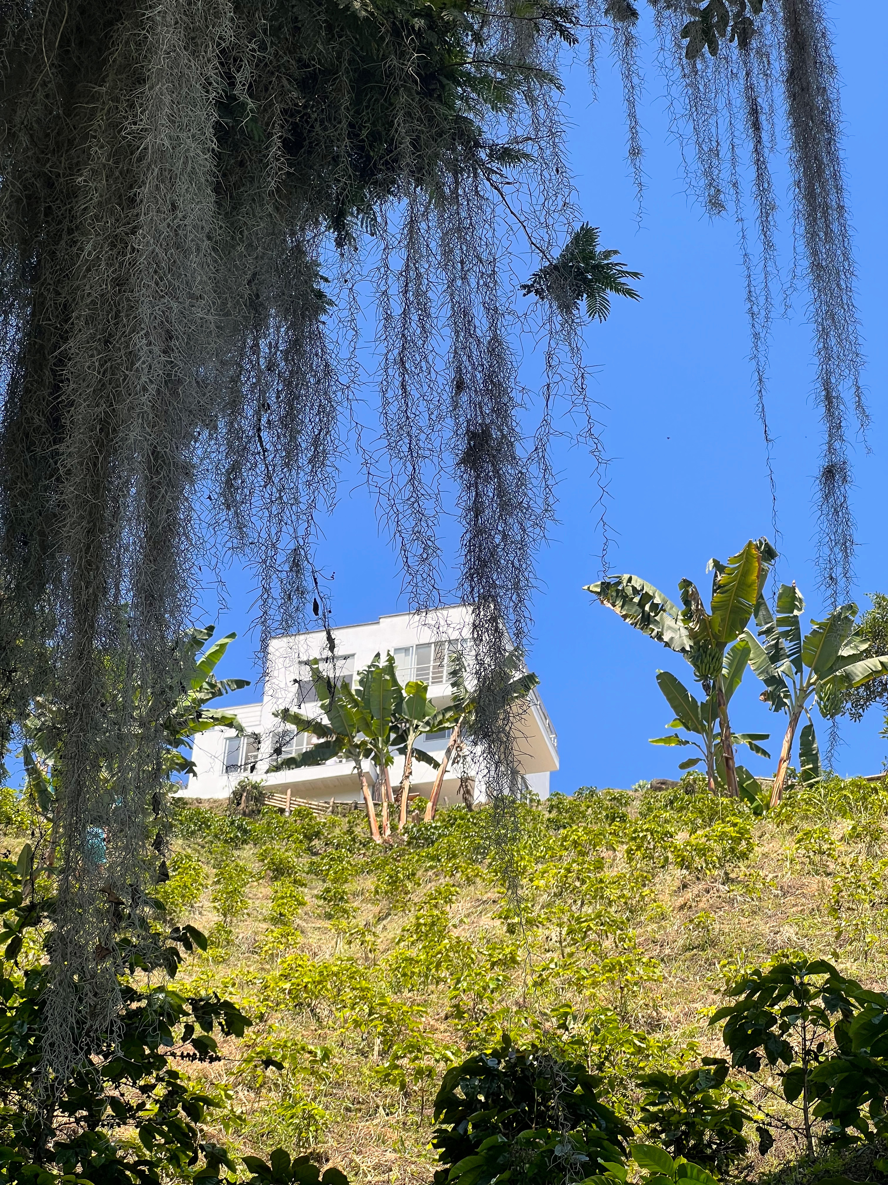Finca Doña Eva